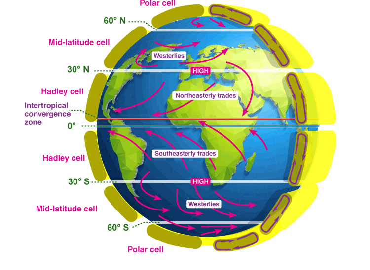 How Winds Blow on Earth