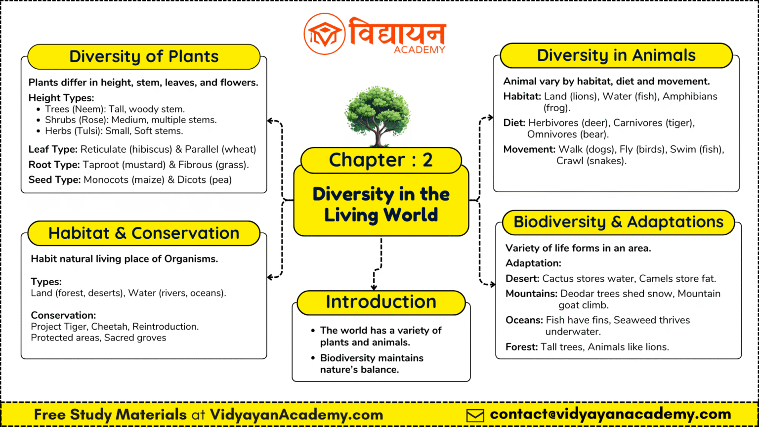 Mind Map for Class 6 Science Chapter 2 - Diversity in Living World pdf